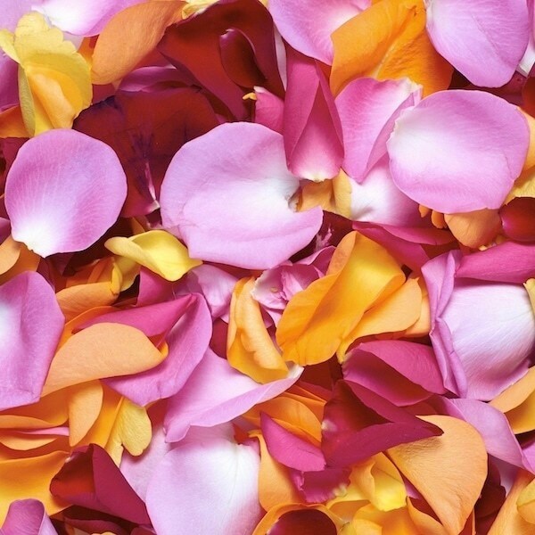 Bag of Mixed Rose Petals
